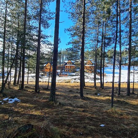 Tornik Studio Zlatibor Bagian luar foto