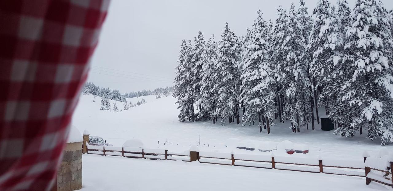 Tornik Studio Zlatibor Bagian luar foto