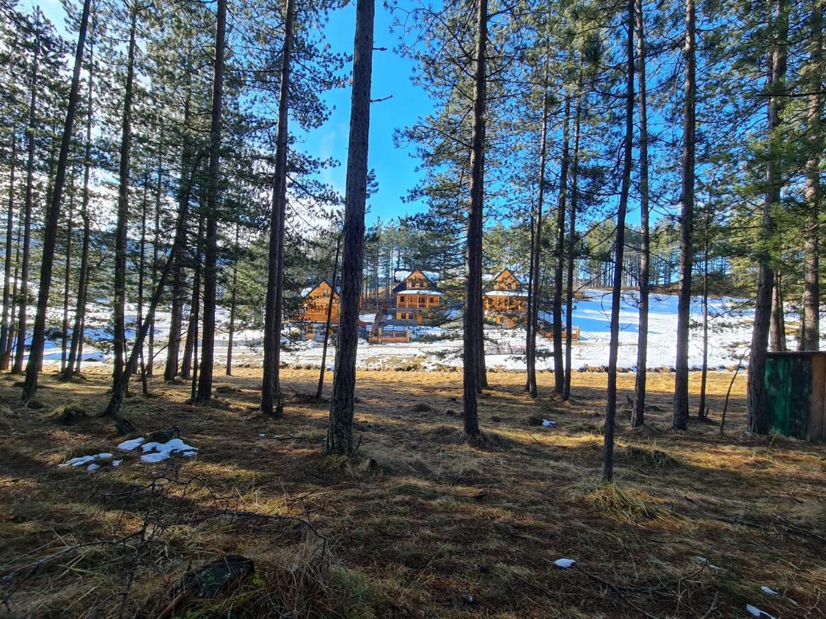 Tornik Studio Zlatibor Bagian luar foto