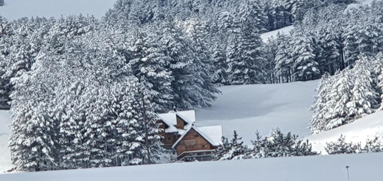 Tornik Studio Zlatibor Bagian luar foto